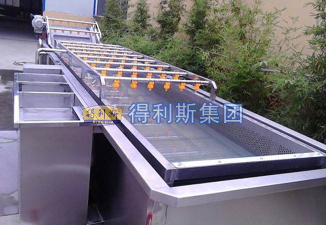 蔬菜清洗加工（gōng）流水線